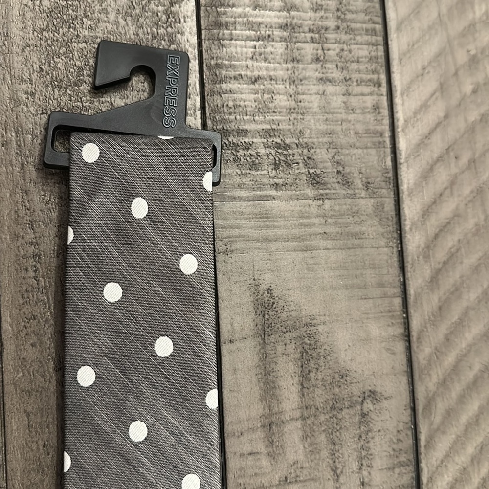 Express Tie - Picture 2 of 4